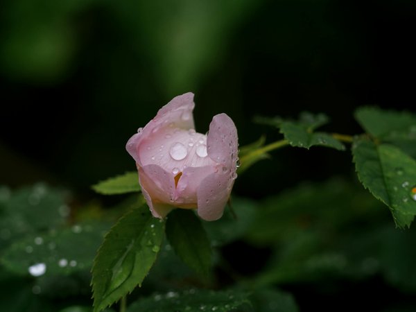 Limiter les acariens dans votre maison grâce à la ventilation moderne
